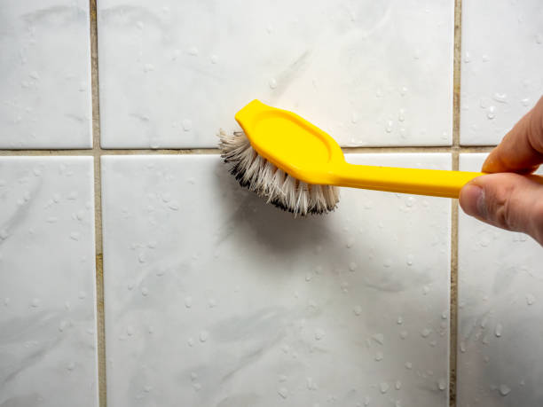 Best Attic Mold Removal  in Dale, PA